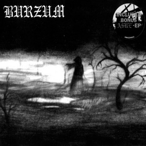 Feeble Screams from Forests Unknown - Burzum | Song Album Cover Artwork