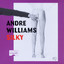 Bonin' - Andre Williams