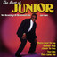 Do You Really (Want My Love) - Junior