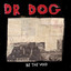 What a Fool - Dr. Dog