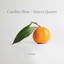 Plan & Elevation: IV. The Orangery - Caroline Shaw