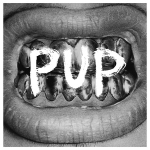 Factories - PUP | Song Album Cover Artwork