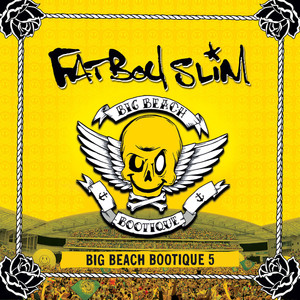 Right Here Right Now - Fatboy Slim | Song Album Cover Artwork