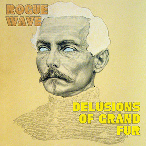 Take It Slow - Rogue Wave | Song Album Cover Artwork