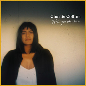 Wish You Were Here - Charlie Collins