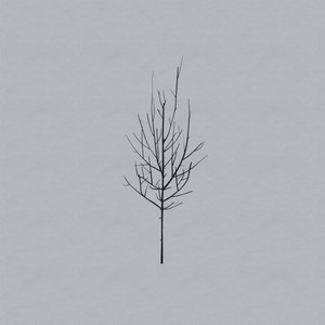 No Comprende - Low | Song Album Cover Artwork