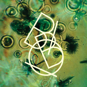 Dye the Water Green - Bibio | Song Album Cover Artwork