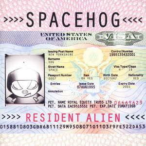 In the Meantime Spacehog | Album Cover