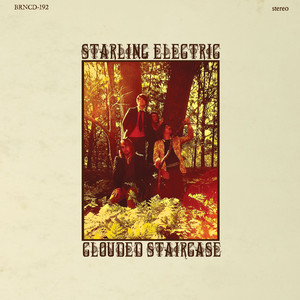 Camp-Fire - Starling Electric | Song Album Cover Artwork