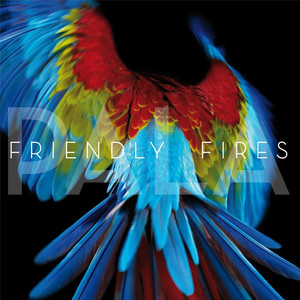 True Love - Friendly Fires | Song Album Cover Artwork