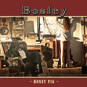 Baby's Wearing Blue - Bosley | Song Album Cover Artwork