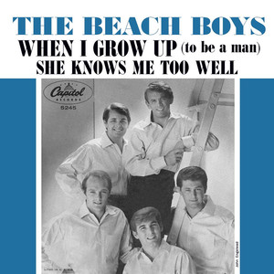 When I Grow Up (To be a Man) - The Beach Boys | Song Album Cover Artwork