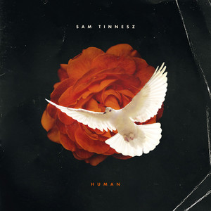Human - Sam Tinnesz | Song Album Cover Artwork