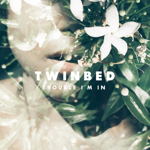 Trouble I'm In - Twinbed