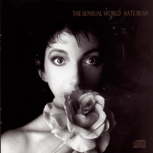 This Woman's Work Kate Bush | Album Cover