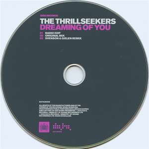 Dreaming of You (Svenson & Gielen Remix) - Thrillseekers | Song Album Cover Artwork