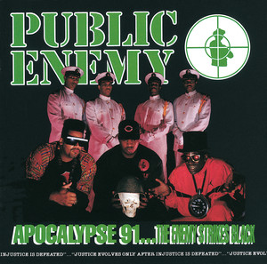 Lost at Birth - Public Enemy | Song Album Cover Artwork
