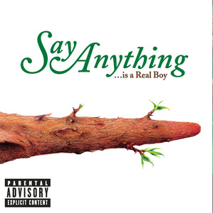 Alive With the Glory of Love - Say Anything