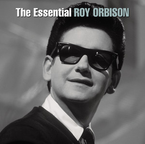 Life Fades Away - Roy Orbison | Song Album Cover Artwork
