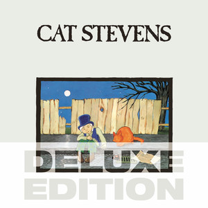 The Wind Cat Stevens | Album Cover