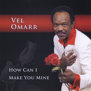 How Can I Make You Mine - Vel Omarr