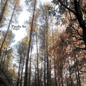 Alphabet Song - Panda Su | Song Album Cover Artwork