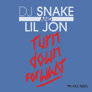 Turn Down for What - DJ Snake | Song Album Cover Artwork