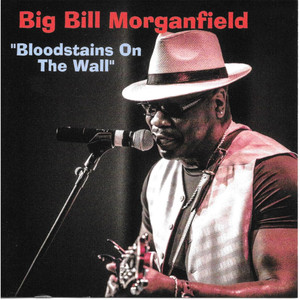 Hold Me Baby - Big Bill Morganfield | Song Album Cover Artwork