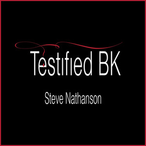Testified Bk - Steve Nathanson | Song Album Cover Artwork