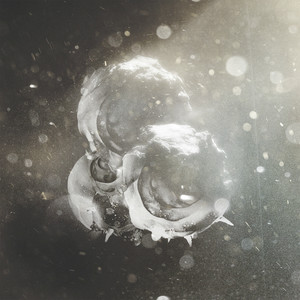 Night Sun - Richard J. Birkin | Song Album Cover Artwork