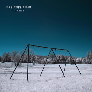 Snowdrops - Pineapple Thief | Song Album Cover Artwork