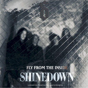 Fly from the Inside - Shinedown | Song Album Cover Artwork