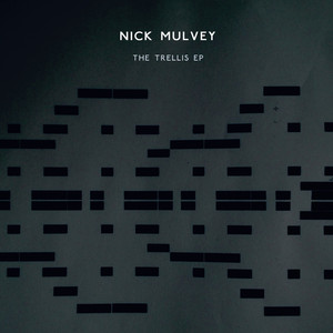 The Trellis - Nick Mulvey | Song Album Cover Artwork