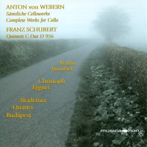 String Quartet in C Major, Op. 163, D. 956: III. Scherzo: Presto - Trio - Andante Sostenuto - Album Artwork