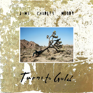 Turns to Gold - Jimi Charles Moody
