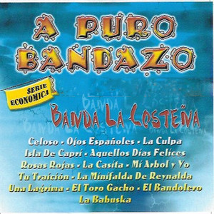 El Toro Gacho - Banda la Costena | Song Album Cover Artwork