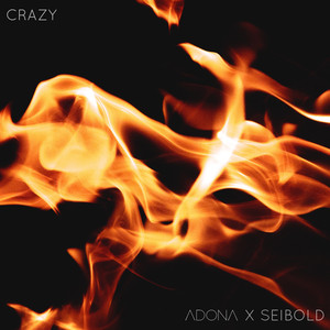 Crazy (feat. Seibold) - ADONA | Song Album Cover Artwork