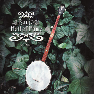 Dueling Banjos - Arthur Smith | Song Album Cover Artwork