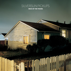 Skin Graph - Silversun Pickups | Song Album Cover Artwork