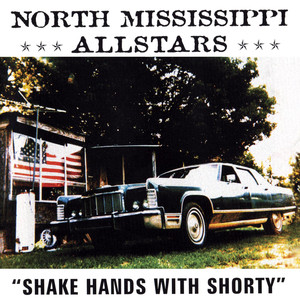 Shake 'Em On Down - North Mississippi Allstars | Song Album Cover Artwork