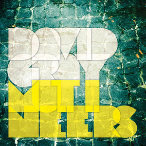 Last Summer - David Gray | Song Album Cover Artwork