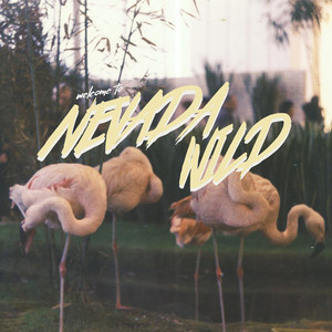 This Never Happened - Nevada Wild | Song Album Cover Artwork