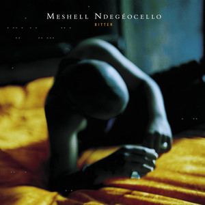 Faithful - Meshell Ndegeocello | Song Album Cover Artwork