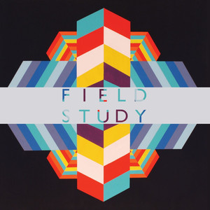 Promise You - Field Study | Song Album Cover Artwork