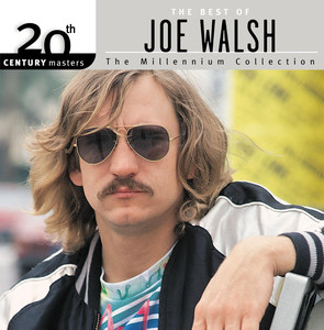 Turn To Stone Joe Walsh | Album Cover