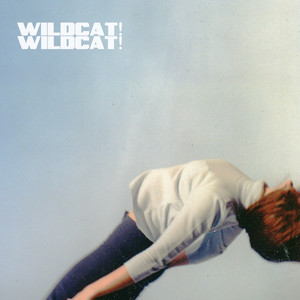 Please and Thank You - Wildcat! Wildcat! | Song Album Cover Artwork