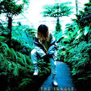 The Jungle Destiny Roberts | Album Cover