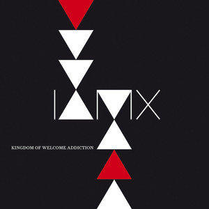 The Great Shipwreck of Life - IAMX | Song Album Cover Artwork