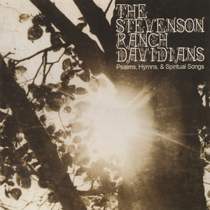 Don't Get Hung Up - The Stevenson Ranch Davidians | Song Album Cover Artwork