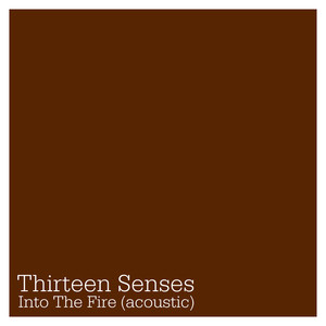 Into the Fire Thirteen Senses | Album Cover